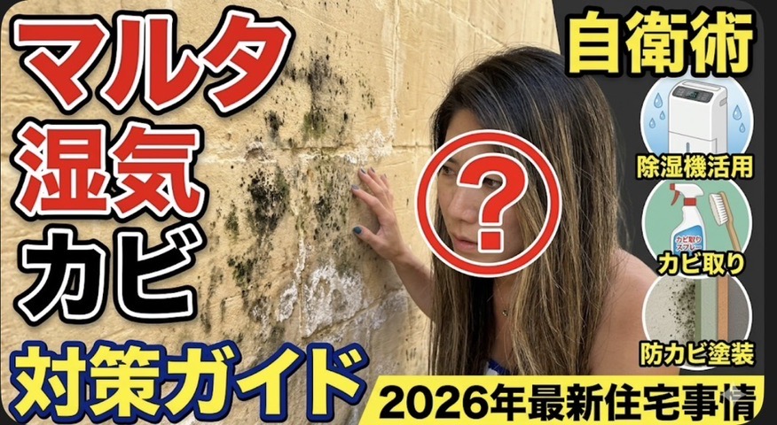 マルタ 移住 マップ：壁のカビ対策