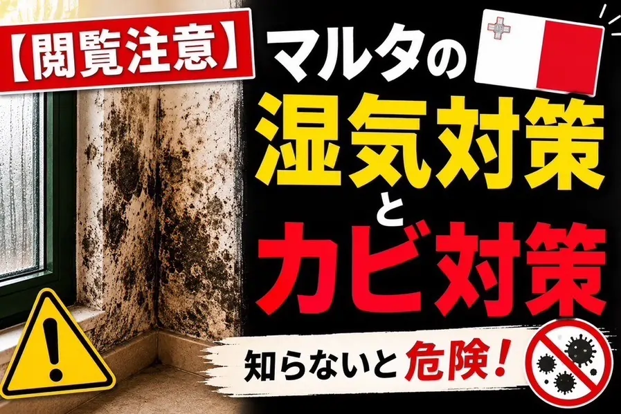 マルタ 移住 マップ：壁のカビ対策